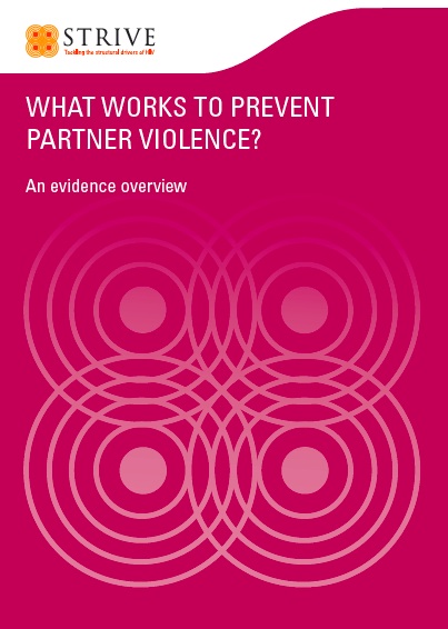 Heise Partner Violence evidence overview